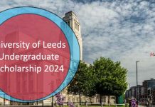 University of Leeds Undergraduate Scholarship 2024