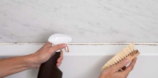 Best Mold Remover For Bathroom Ceiling