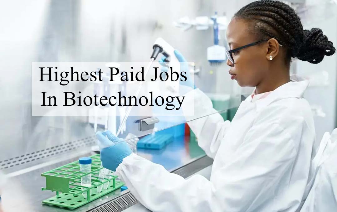 Highest Paid Jobs In Biotechnology
