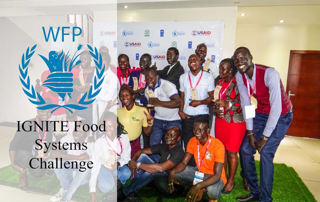 IGNITE Food Systems Challenge 