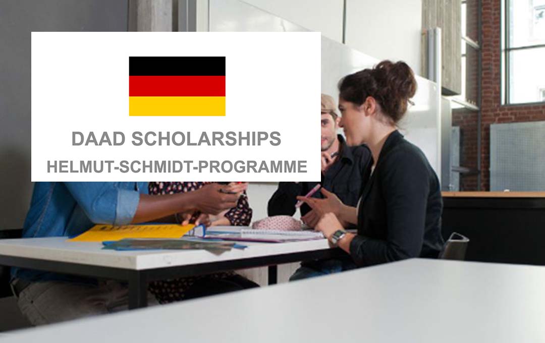 How to Apply for DAAD Helmut Schmidt Programme