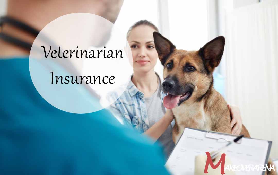 Veterinarian Insurance