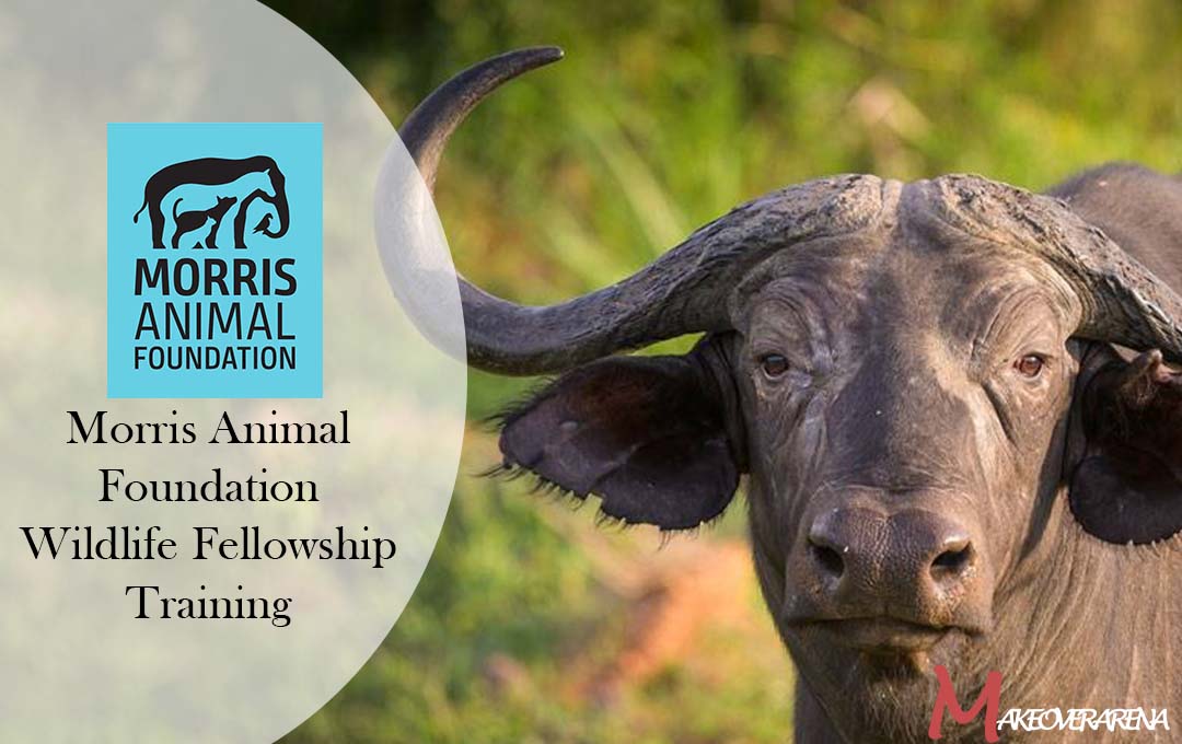 Morris Animal Foundation Wildlife Fellowship Training 