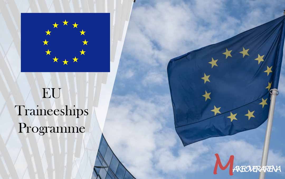 EU Traineeships Programme