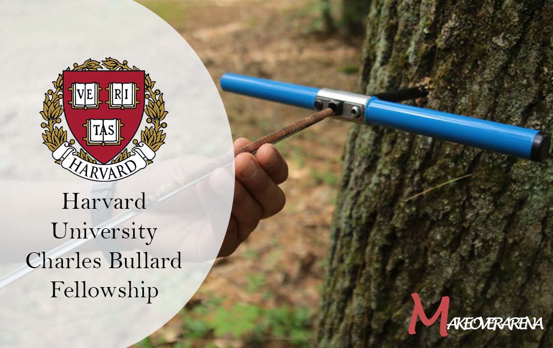 Harvard University Charles Bullard Fellowship 
