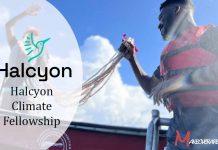 Halcyon Climate Fellowship