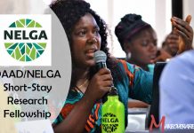 DAAD/NELGA Short-Stay Research Fellowship