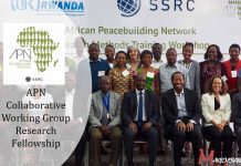 APN Collaborative Working Group Research Fellowship