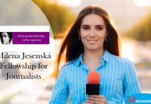 Milena Jesenská Fellowship for Journalists
