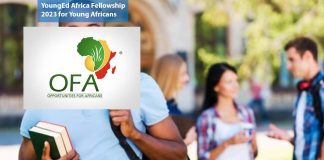 YoungEd Africa Fellowship 2023 for Young Africans
