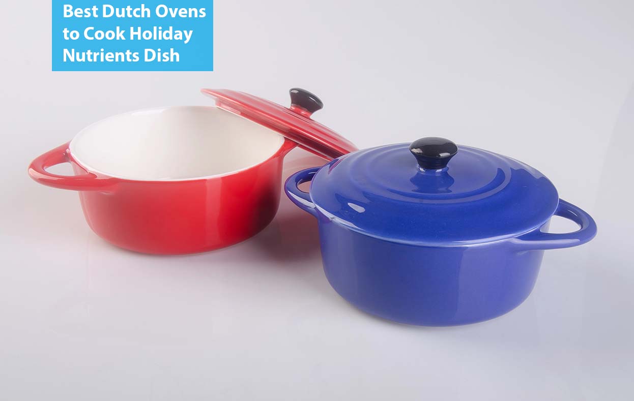 Best Dutch Ovens to Cook Holiday Nutrients Dish