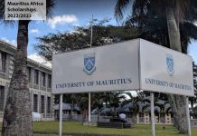 Mauritius Africa Scholarships