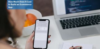 How Much Does It Cost to Build an Ecommerce App