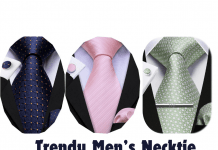 Trendy Men’s Necktie for Father’s Day