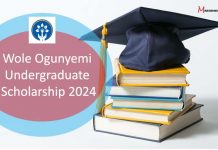 Wole Ogunyemi Undergraduate Scholarship
