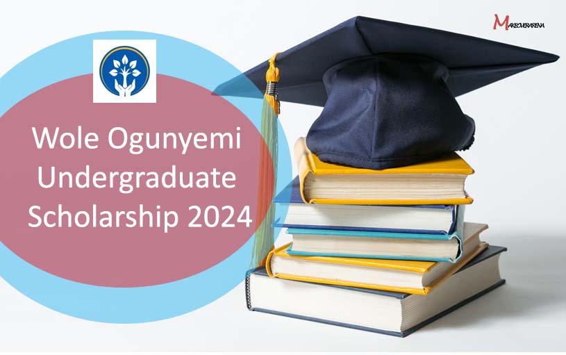 Wole Ogunyemi Undergraduate Scholarship 