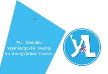 YALI  Mandela Washington Fellowship for Young African Leaders
