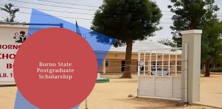 Borno State Postgraduate Scholarship